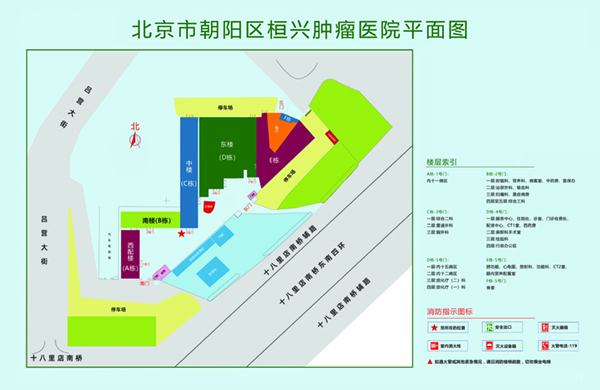 艹逼视频下载北京市朝阳区桓兴肿瘤医院平面图